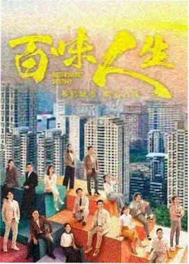 双面档案 悬疑剧集在线观看完整版